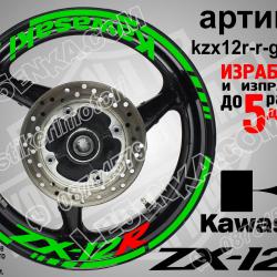 Kawasaki Zx-12r Green