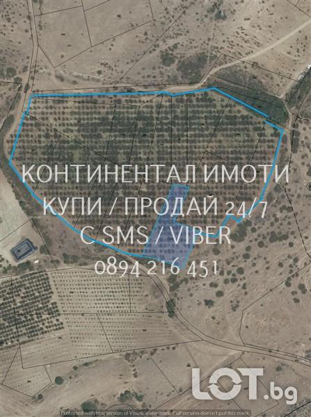Код 70041. Комасирана земя 32дка, разделени в 15 съседни парцела, заса