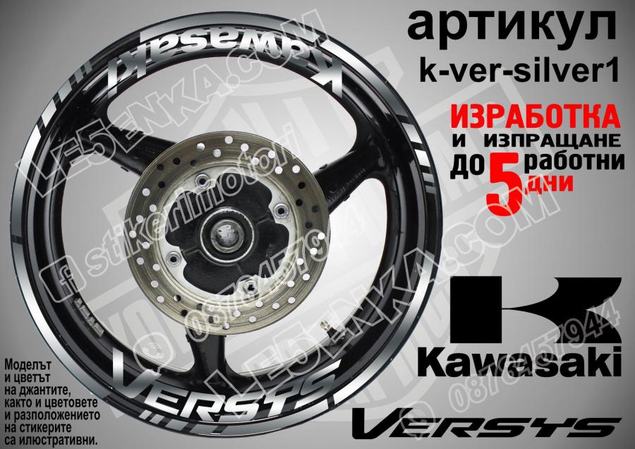 Kawasaki Versys Silver