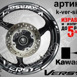 Kawasaki Versys Silver