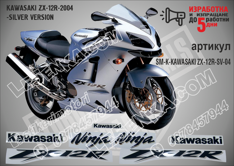Kawasaki Zx-12r-2004 -silver Version