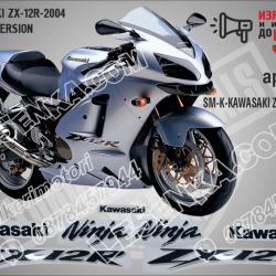 Kawasaki Zx-12r-2004 -silver Version