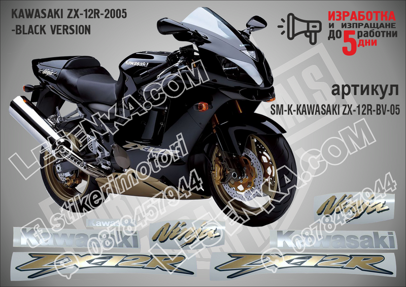 Kawasaki Zx-12r-2005 -black Version