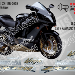 Kawasaki Zx-12r-2005 -black Version