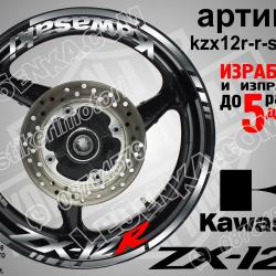 Kawasaki Zx-12r Silver