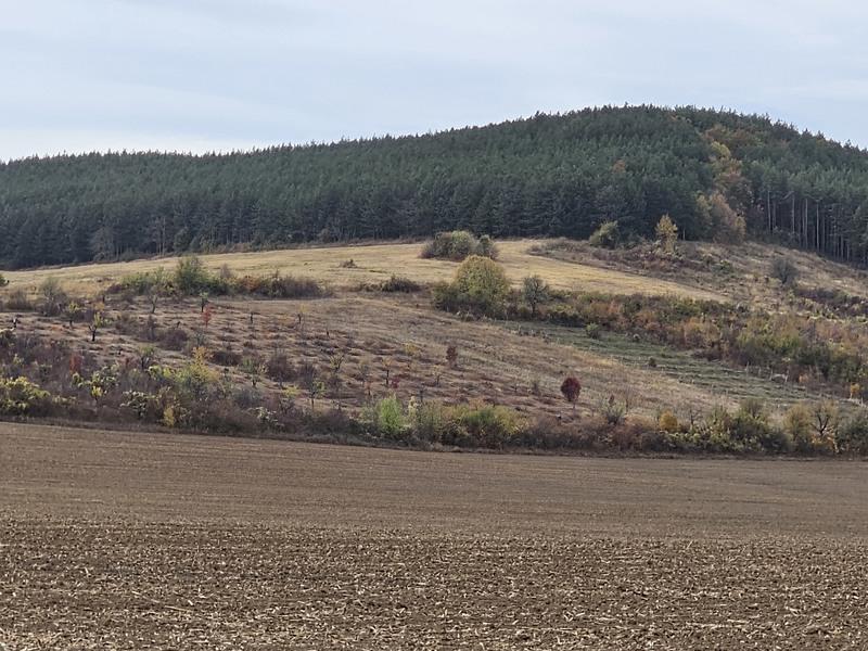 Продавам 11,299 дка земя в землището на с. Имренчево