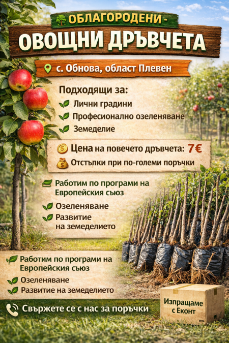 Овощни облагородени дръвчета