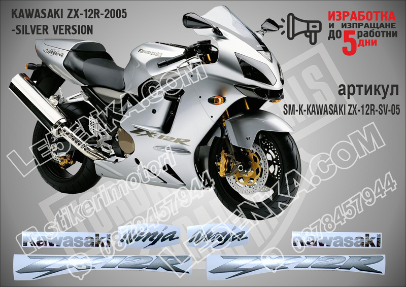 Kawasaki Zx-12r-2005 -silver Version