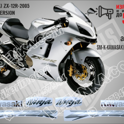 Kawasaki Zx-12r-2005 -silver Version