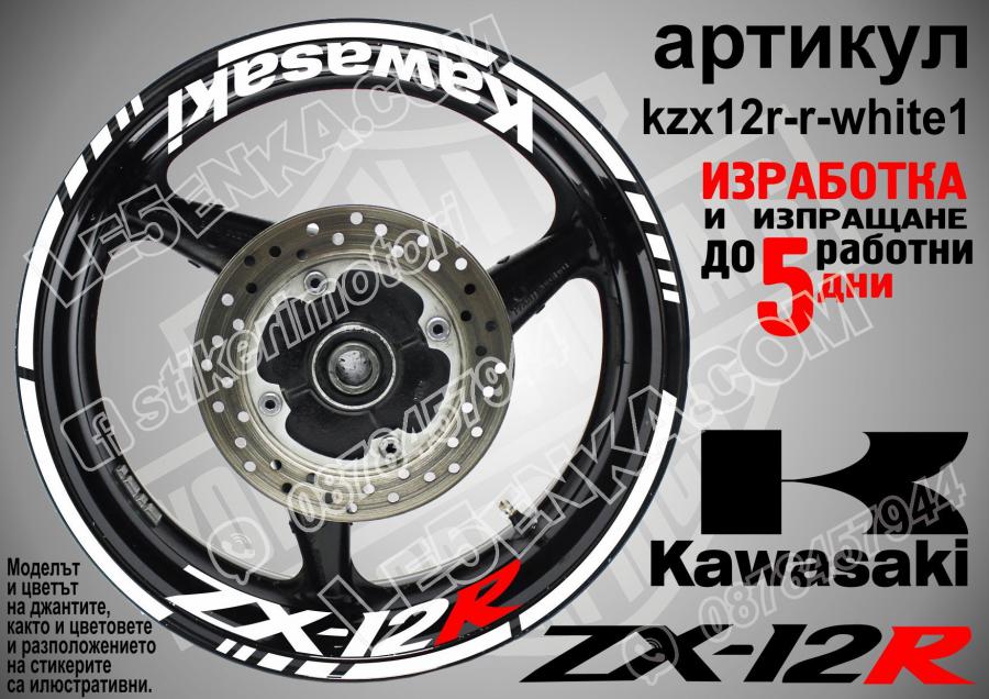 Kawasaki Zx-12r White