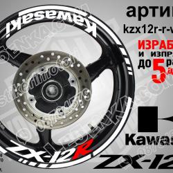 Kawasaki Zx-12r White