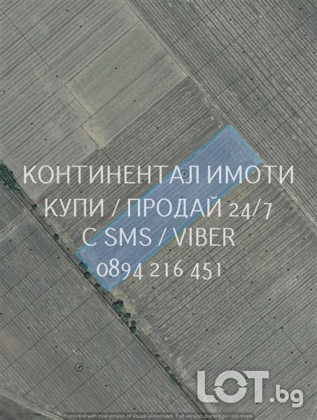 Код 70042. Нива 16дка, 5-та кат., на около 700 м от селото, с много ле