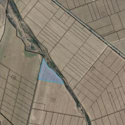 Продавам 25 дка земя в землището на с. Боянци