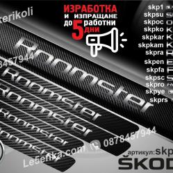 Skoda Roomster прагове от карбон