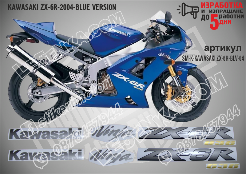 Kawasaki Zx-6r-2004-blue Version