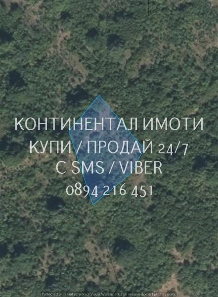 кодг 63099. Ливада 1200м2, кат. 8-ма, сега обрасла с дървета и храсти,