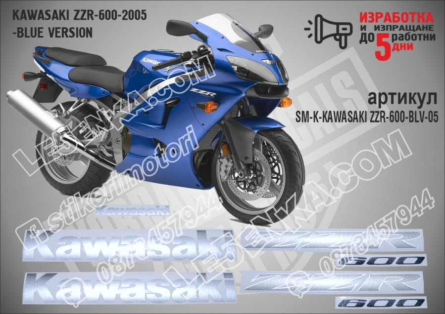 ZZR 600 - 2005 Blue Version