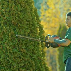 Градинарски услуги от Mr. Donchev