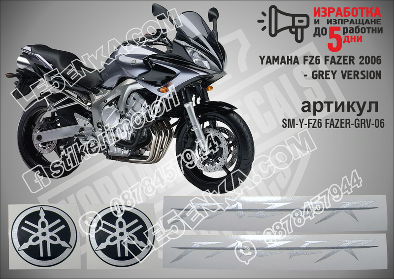 Yamaha FZ6 Fazer 2006 - Grey Version