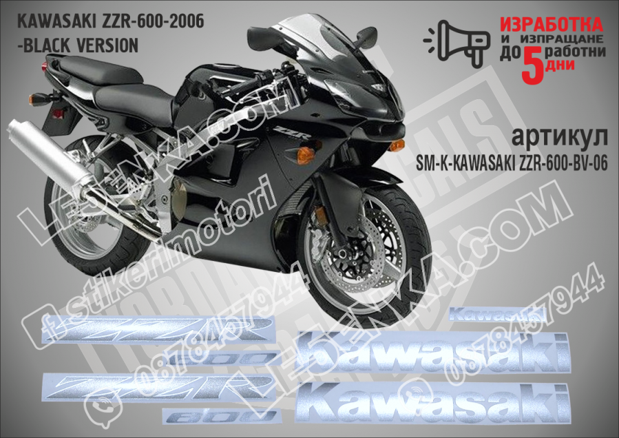 ZZR 600 - 2006 Black Version