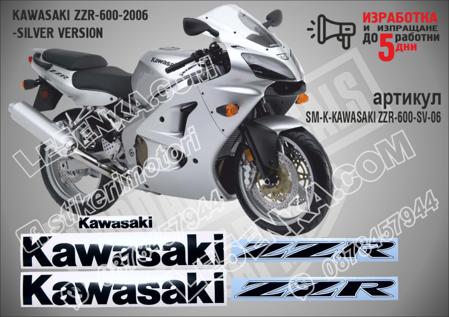 ZZR 600 - 2006 Silver Version