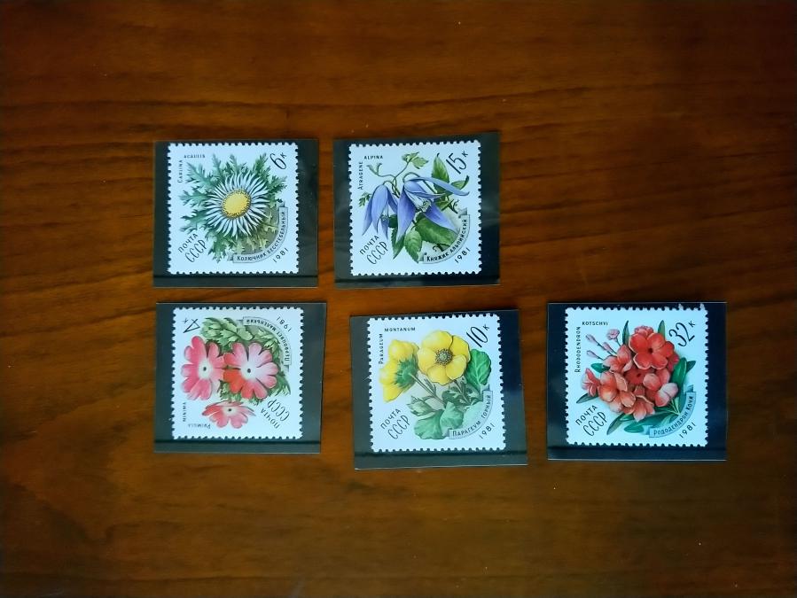 Серия от 5 пощенски марки от Ссср 1981 г.