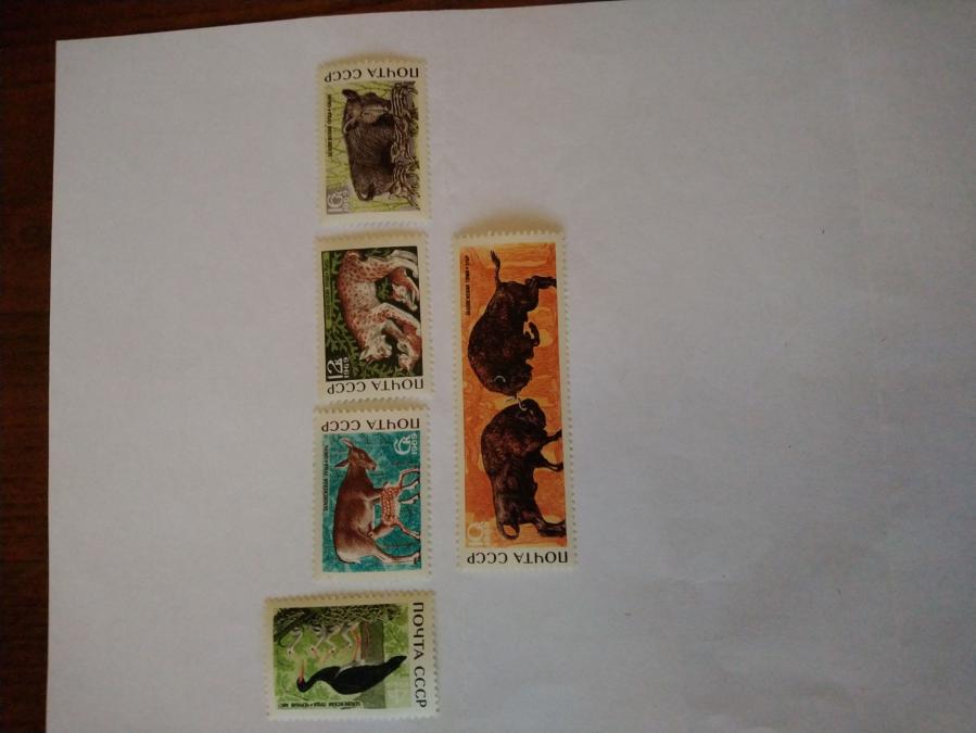 Серия от 5 пощенски марки от Ссср 1969 г.