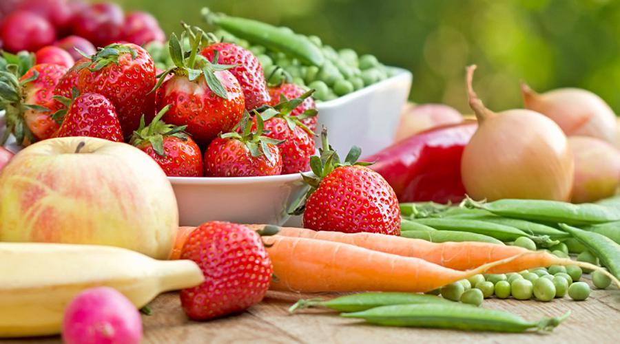 Балкан Биосерт сертификация за биоземеделие и животновъдство