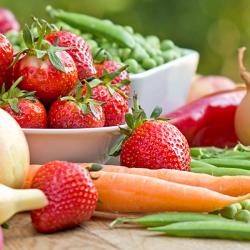 Балкан Биосерт сертификация за биоземеделие и животновъдство