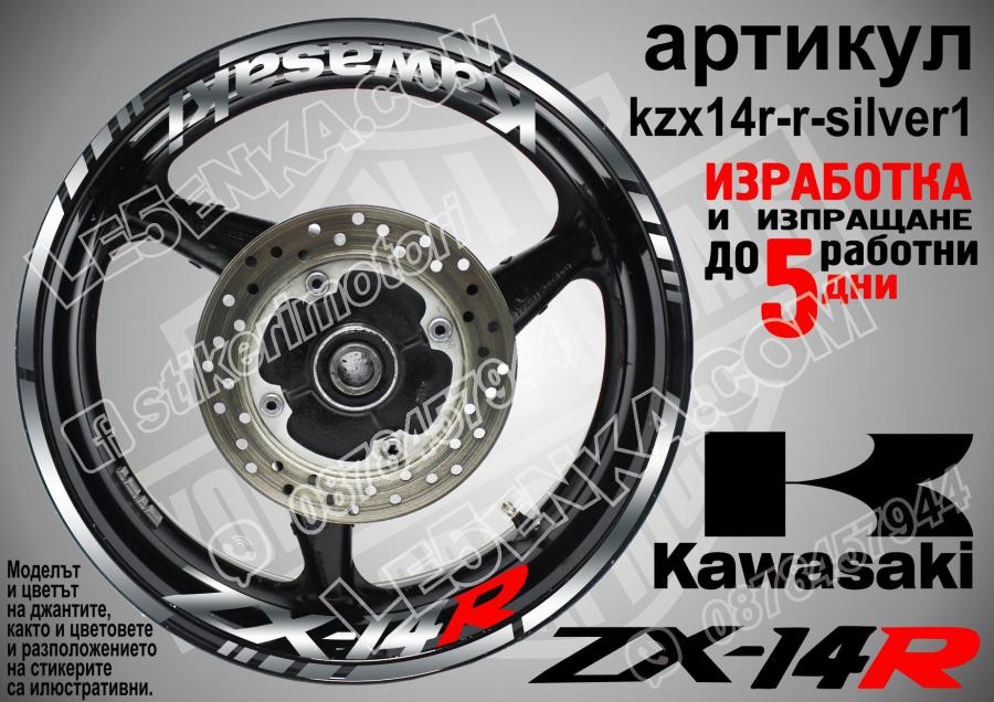 Kawasaki Zx-14r Silver