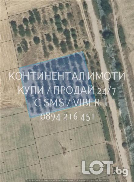 Код 70026. Кодк 70026. Черешова градина 3100м2, на около 1км преди сел