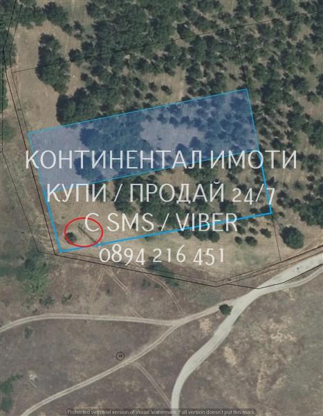 кодлг 63005. две съседни орехови градини по 5дка общо 10дка с добро
