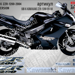 ZZR 1200 - 2004 Black Version