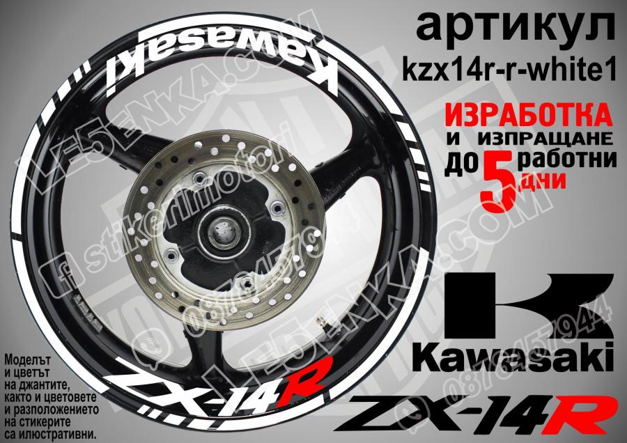 Kawasaki Zx-14r White
