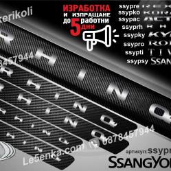 Ssangyong Rhino прагове от карбон