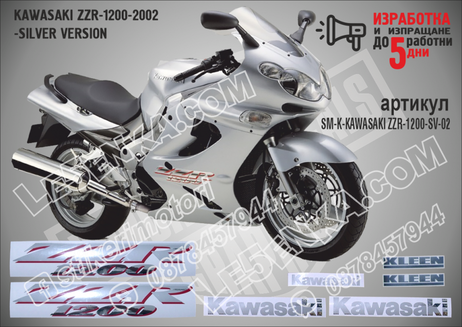 ZZR 1200 - 2002 Silver Version