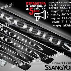 Ssangyong Rodius прагове от карбон
