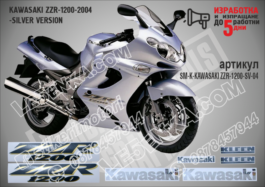 ZZR 1200 - 2004 Silver Version