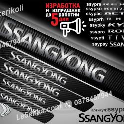 Ssangyong прагове от карбон