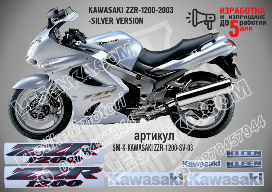 ZZR 1200 - 2003 Silver Version