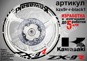 Kawasaki Zx-9r Black
