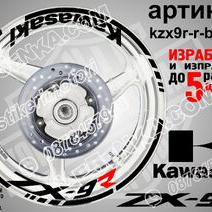 Kawasaki Zx-9r Black