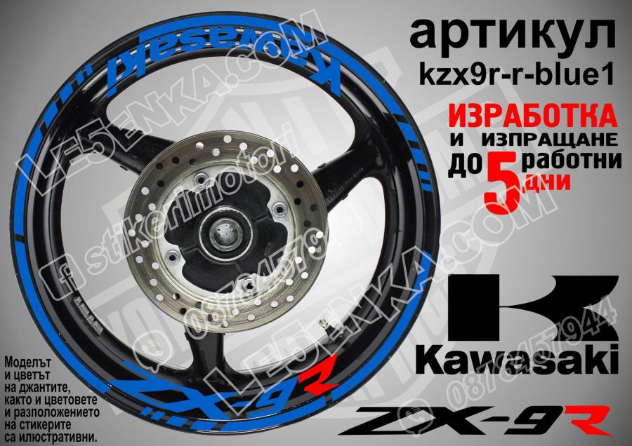 Kawasaki Zx-9r Blue
