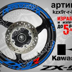 Kawasaki Zx-9r Blue