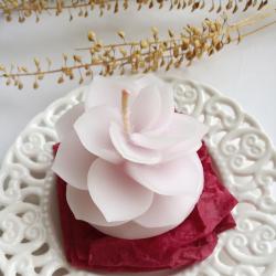 Декоративни ароматна свещ цвете Бегония