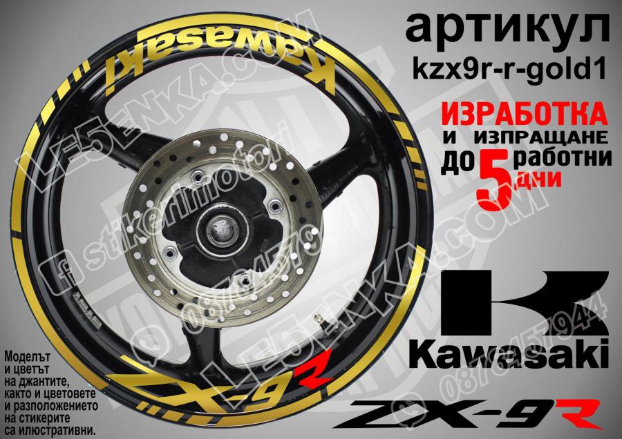 Kawasaki Zx-9r Gold