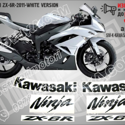 Kawasaki Zx-6r-2011-white Version