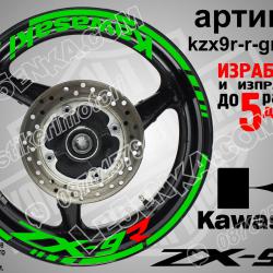 Kawasaki Zx-9r Green