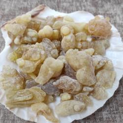 Бял Тамян донесен от Оман 100% натурален