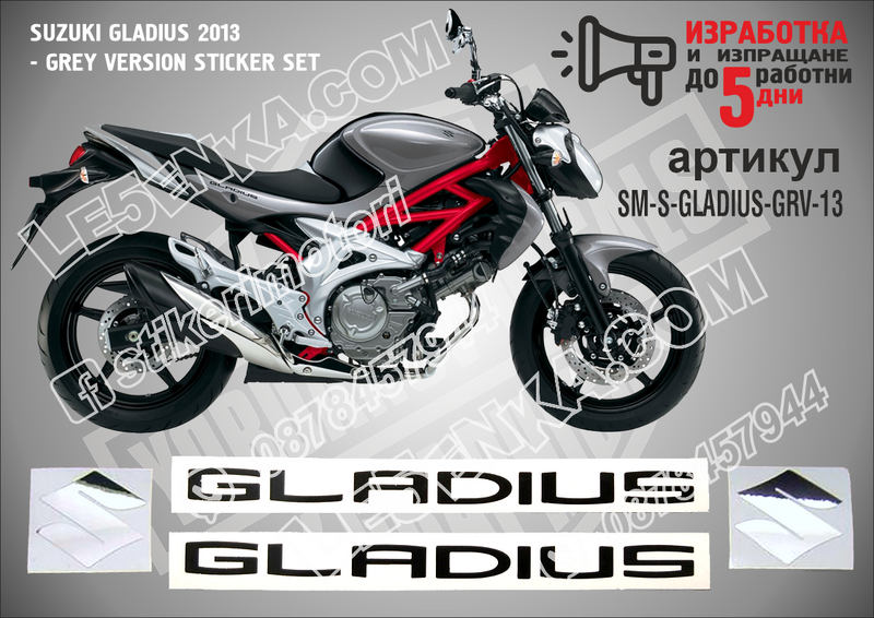 Suzuki Gladius 2013 - Grey Version